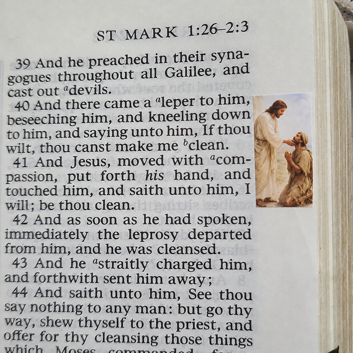365 New Testament Scripture Margin Stickers Set
