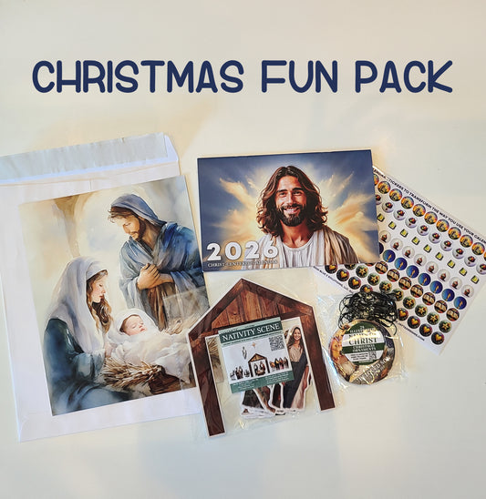 Christmas Fun Pack *Free Shipping* Ships in 1-2 Days! The most popular 2025 Christmas items!